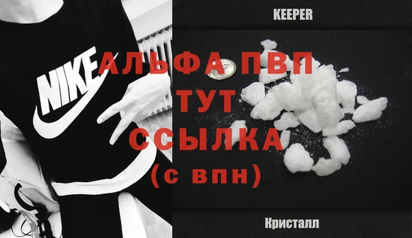 сатива Нефтекумск