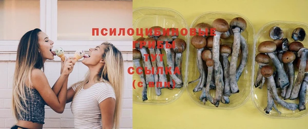 сатива Нефтекумск